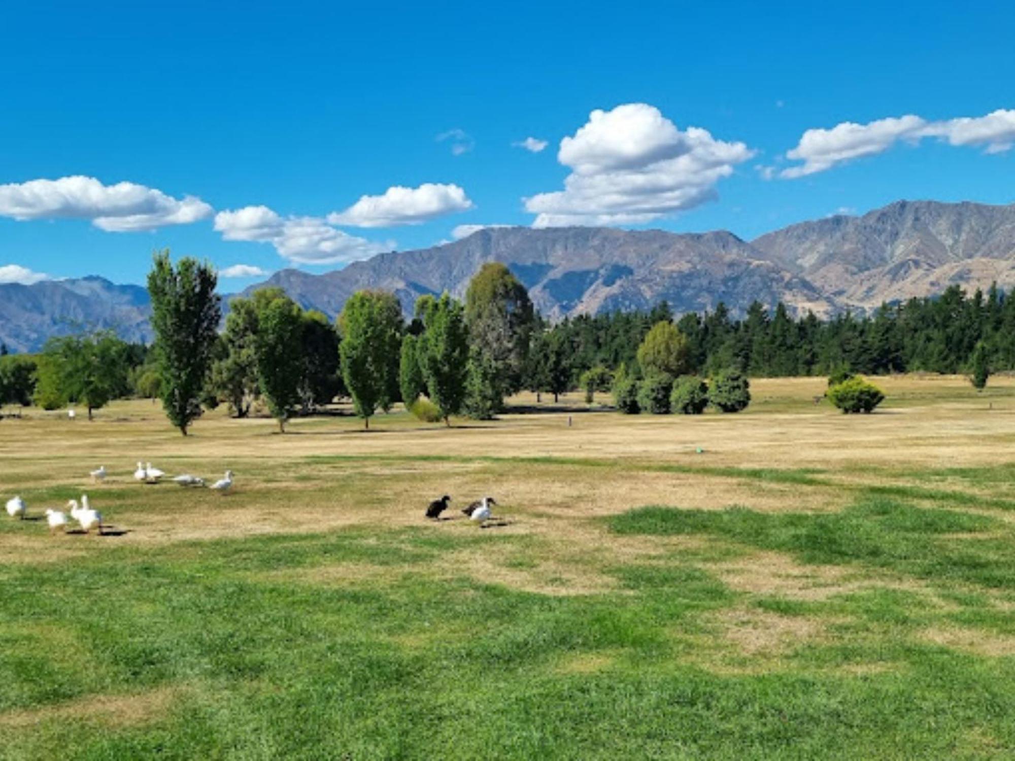 Lakeshore Springs Apartments Wanaka Exterior photo